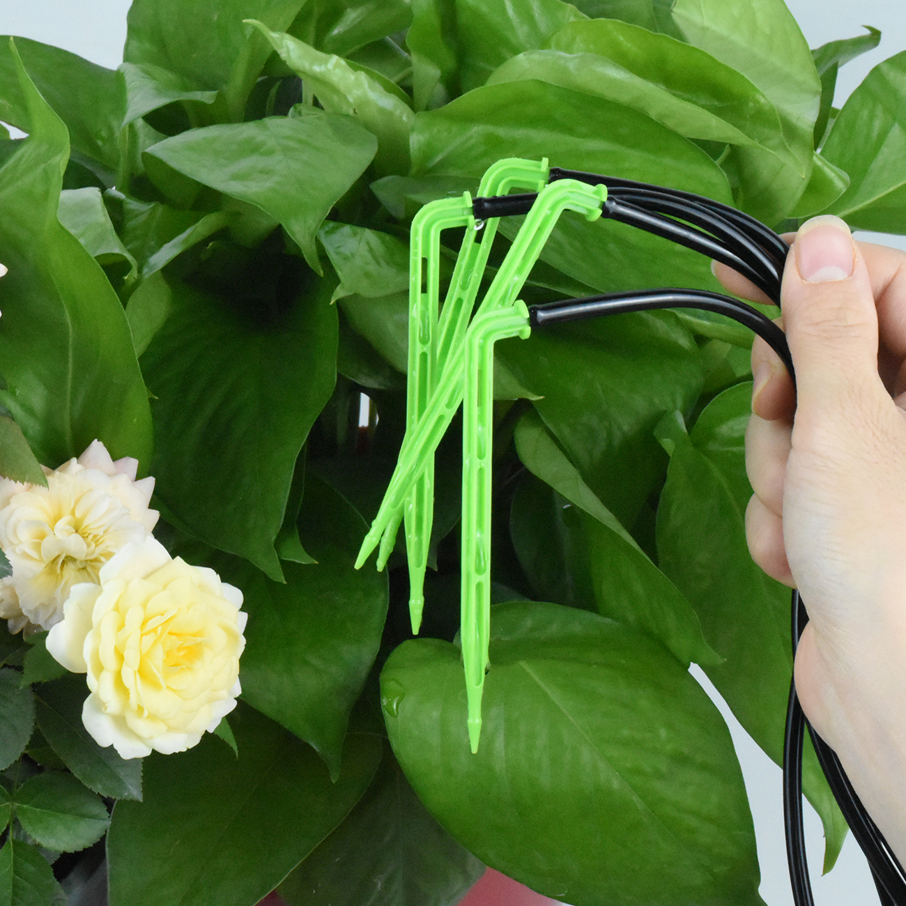 KESLA Garden 4/7mm to 3/5mm Ho - Smart Garden Technology review and price
