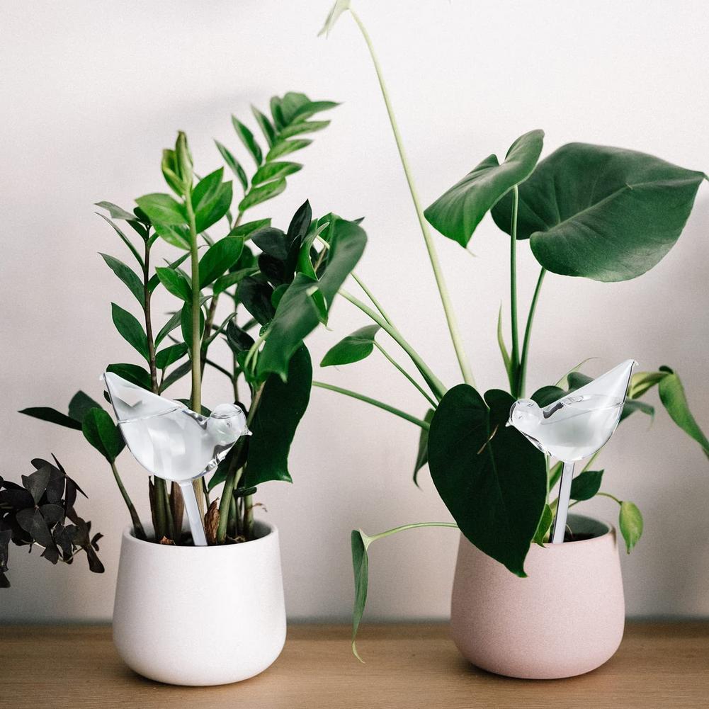 Automatic Plant Watering Bulbs - Smart Garden Technology review and price