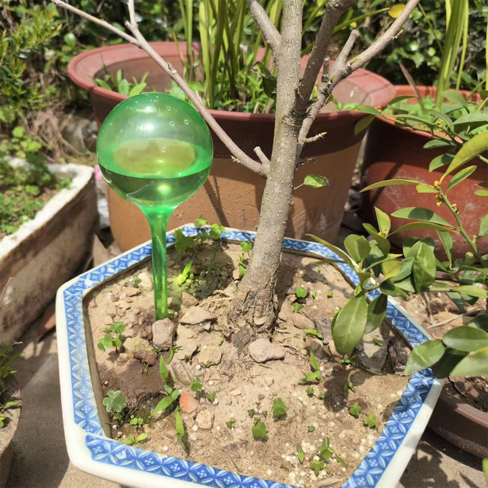 Automatic Plant Watering Bulbs - Smart Garden Technology review and price