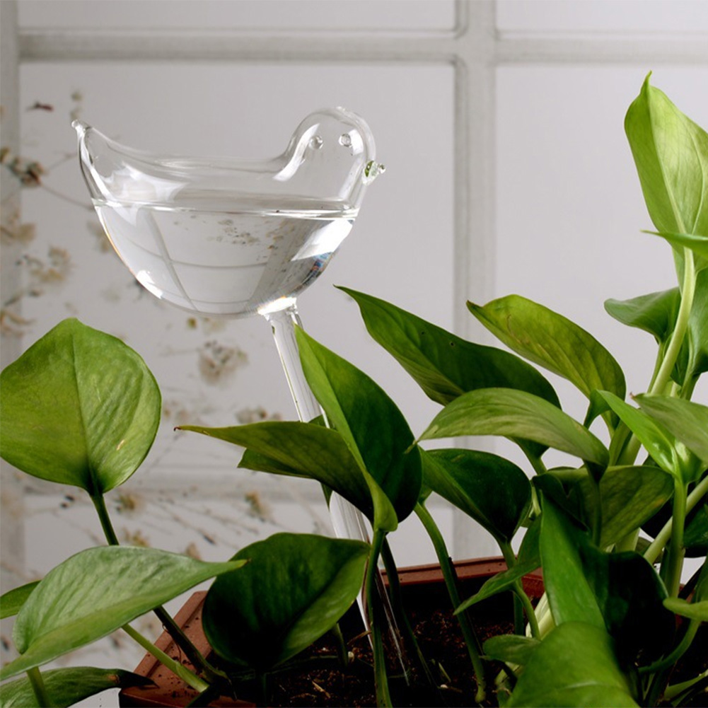 Automatic Plant Watering Bulbs - Smart Garden Technology review and price