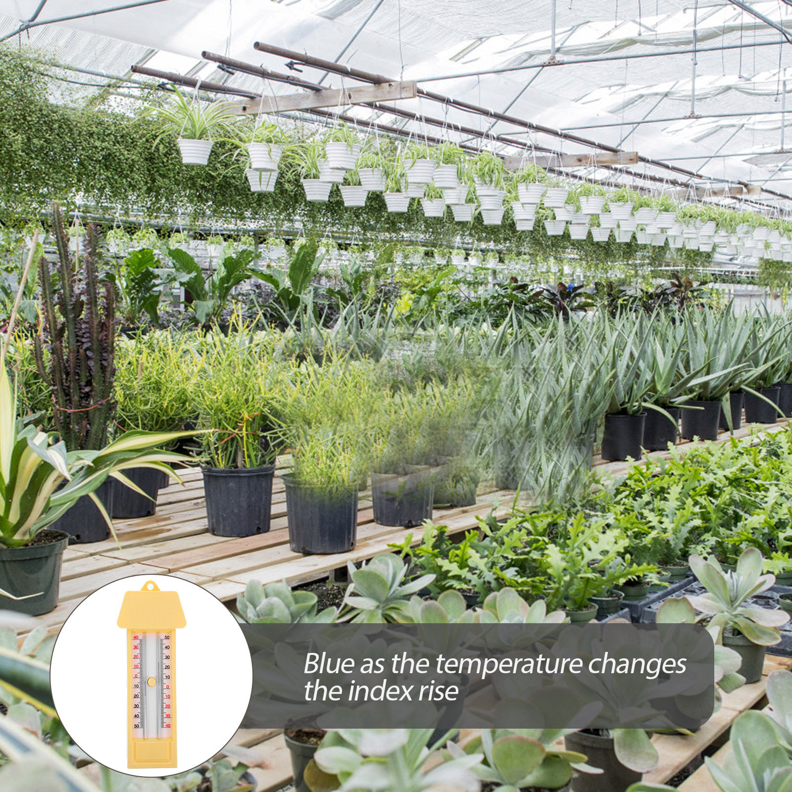 Blue Indicator Maximum Minimum - Garden Weather Station review and price